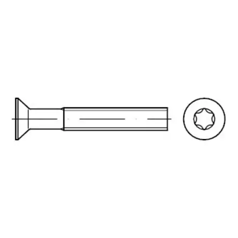 ISR DIN 965 Vis fraisée, acier inox A2 M10x30 HP