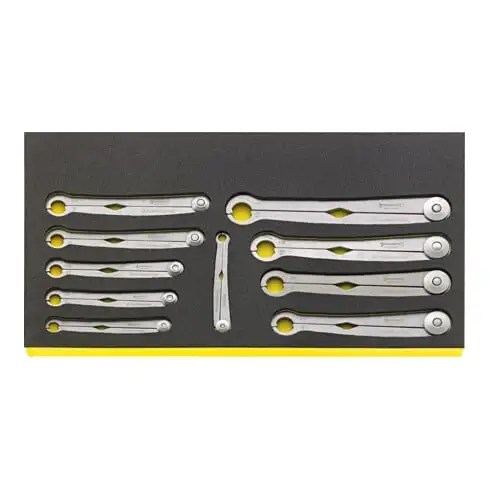 TCS WT 240/10 Clés polygonales à cliquet en plateau TCS