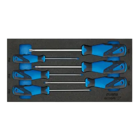 Tournevis Gedore Torx dans l'insert Check-Tool (1500CT1-2163 TXB)