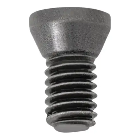 Vis de serrage STIER VT25 (M2,5X5,5 T08)